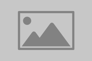 Онлайн-вебинар «Практика деятельности единого центра обслуживания субъектов свободных экономических зон»